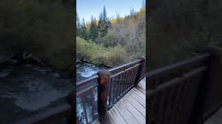 The water flowing from this creek is so clear.