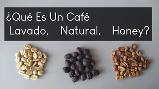 ¿Qué es Café Lavado Natural y Honey?