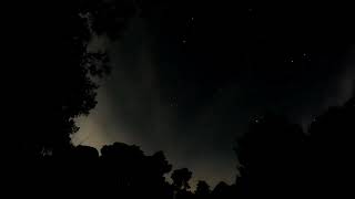 Δάσος Στροφυλιάς -  Srofilias forest night time lapse 02/02/2024