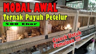 Modal Awal Ternak Puyuh 500 Ekor