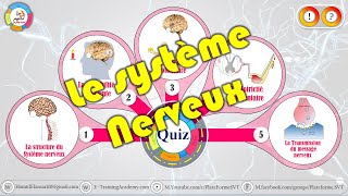 Le Système Nerveux || la sensibilité consciente -la motricité volontaire -la motricité involontaire