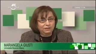 Intervista e presentazione, Antenna5