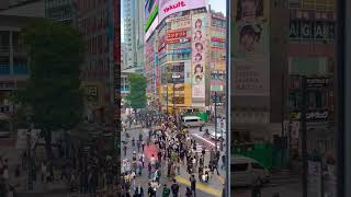 Shibuya crossing