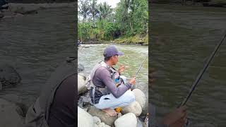 spot sungai Serayu tarikan kepet merah