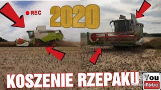 🔥Koszenie  rzepaku 🔥|CLAAS TUCANO 420