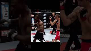 How vicious was this knockout? #shorts #mma #ufc