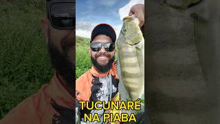 TUCUNARÉ NA PIABA! ELES NÃO RESISTEM! #fishing #pesca #pescaria #viral