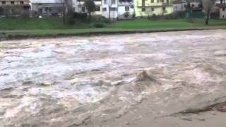 18 marzo 2013 - La pescaia del Bisenzio lungo il viale Galilei a Prato