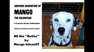 MANGO THE  HIGH SPEED DOG!      www.crackerbooks.fr