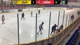 U14AA Flamborough Sabres VS Stoney Creek Warriors Flamborough Tournament Game 3