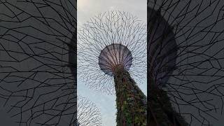 Garden Rhapsody | Singapore #youtubeshorts #shorts #garden #Rhapsodysingasore