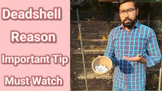 Deadshell Hone Ki Wajah | Deadshell Reason | Important Tip