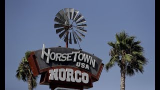 Work Picture Day With Friends & A Tour Of 6th Street On Horseback In Horse Town USA