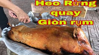 Heo Rừng Quay Bao Ngon Bao Giòn,#heoquay ,tuổithơ x & t,#heoquaygiòn