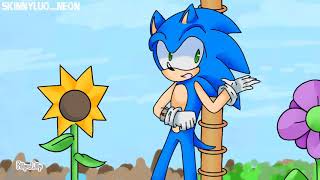 Sonic e.x.e Spirits of the Hell (Animatic Flipaclip)