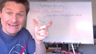 Video 4  Hydrogen Bonding