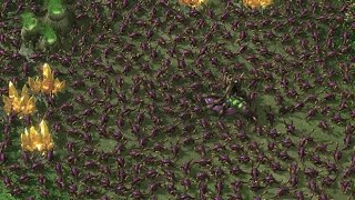 Zerg vs Zerg Tutorial (Low Elo Domination)