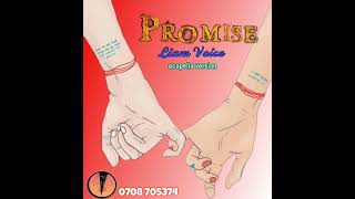 Promise - Liam Voice (Acapella version (vocals)