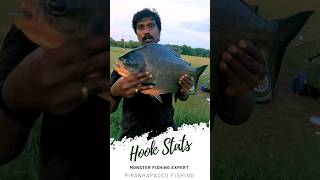 Monster paccu fish hunting..🔥🤩💥வவ்வால் மீன் fishing..!🎣🔥#shorts