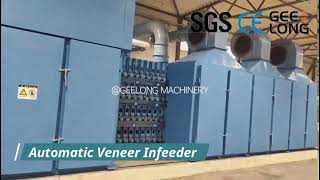 Geelong- Roller type veneer dryer machine equipped with automatic veneer input and output machine