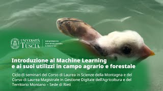 🖥️ WEBINAR | INTRODUZIONE AL MACHINE LEARNING E AI SUOI UTILIZZI IN CAMPO AGRARIO E FORESTALE