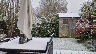 Snowy Southampton, UK  21/11/24 | Well This Was Unexpected.