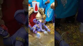 Ganpati visarjan @parrotfunclub