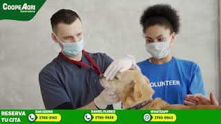 Servicios veterinarios especiales CoopeAgri Suministros