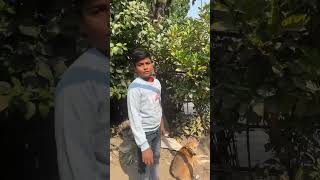 Bhaiya Ye Kitne ka Hai #comedy #funny #treding #shorts