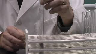 Hydrogen Gas from Aluminum Foil and Drain Cleaner