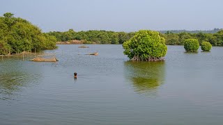 Fishermen 's Cross || Divar Island, Goa