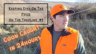 On The Trapline. Set And Catch In 24 Hours.