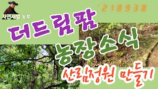 더드림팜 산림경영계획구 6소반 산림정원 조성