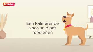 Hoe breng ik een Beaphar kalmerende spot-on aan bij mijn hond?