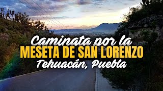 Caminata por meseta de San Lorenzo Teotipilco | Tehuacán, Puebla | Meseta El Riego