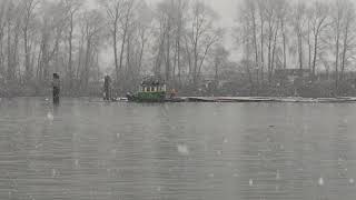 Sawmill tugs in New Westminster 19 Dec 2017