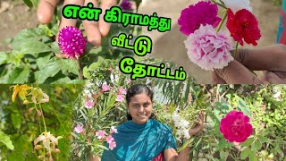 என் கிராமத்து வீட்டு தோட்டம் ஒரு பார்வை | My Garden tour | Home garden tour in tamil | Gobi Samayal