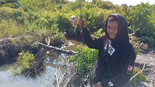 MANCING IKAN NILA UMPAN BARU TURUN LANGSUNG DI SAMBAR || JEMPONG MANCING#JM-42