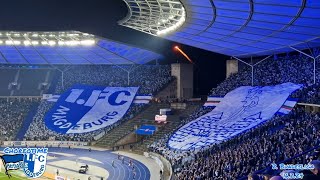 1.FC Magdeburg Choreo vs. Hertha BSC #fcm #choreotime #2bundesliga