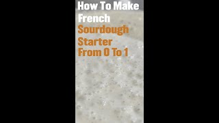 Sourdough Starter - All the Steps Explained In Less Than 1 Minute #shorts