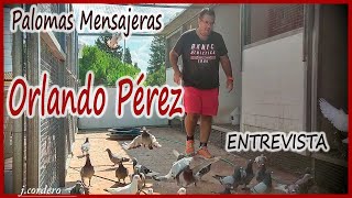 PALOMAS MENSAJERAS.-ORLANDO PÉREZ 2023