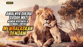 DIKIRA MATI, SINGA INI KEMBALI UNTUK BALAS DENDAM‼️Alur cerita film THE LION KING 2019