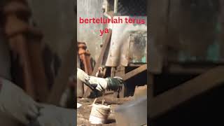 PIARA AYAM KAMPUNG, 1 JANTAN 3 BETINA