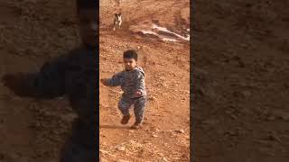 baby fun with dog| #shorts #baby #fun #funny #dog #dogs #lol #labrador #puppy #comedy #babyfun #pets