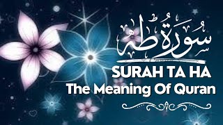 Quran Tilawat Surah Ta - Ha | (TAHA ) | (سورت طہ) | Chapter No :- 20 | Verses 135 | (Ṭā Hā)