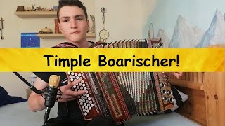 Timple Boarischer - Steirische Harmonika