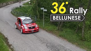 36° RALLY BELLUNESE Show & mistake