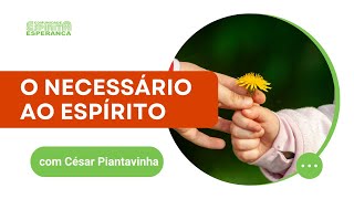 Palestra Doutrinária: O Necessário ao Espírito com César Piantavinha