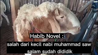 Habib Novel : Nabi Belajar Bisnis Sejak Kecil , Bagaimana dengan Kita ?