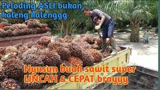 Cara menyusun buah sawit di atas truck